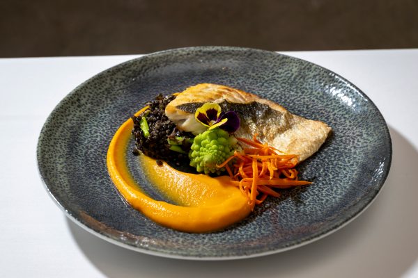 Europa, Kroatien, Istrien. Kastav: Wolfsbarsch, Suesskartoffeln, Belugalinsen, Chefkoch David Čilić, Hotel und Restaurant KUKURIKU.

Engl: Europe, Balkan, Croatia, Istria, KASTAV: Chef David Čilić, Hotel KUKURIKU